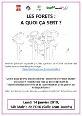 Invitation reunion publique Foix 14 janvier 20191.jpg